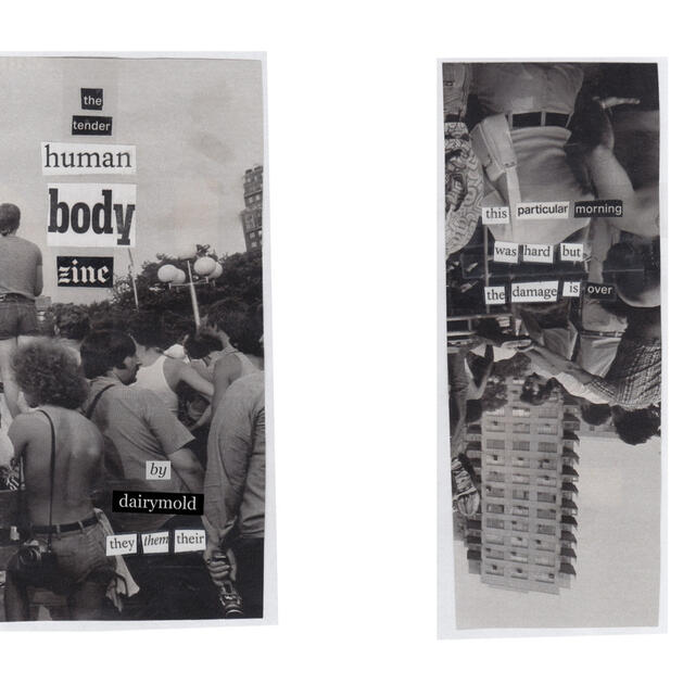 front and back covers for the tender human body zine