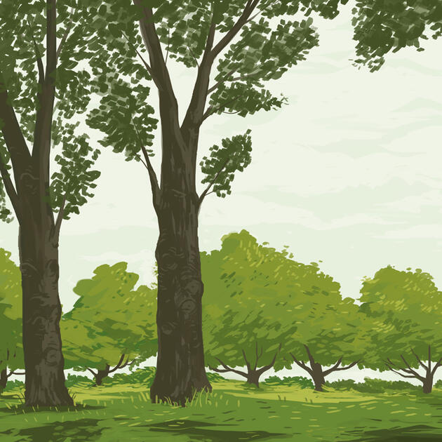a detailed digital painting of a verdent park with trees peppering the horizon